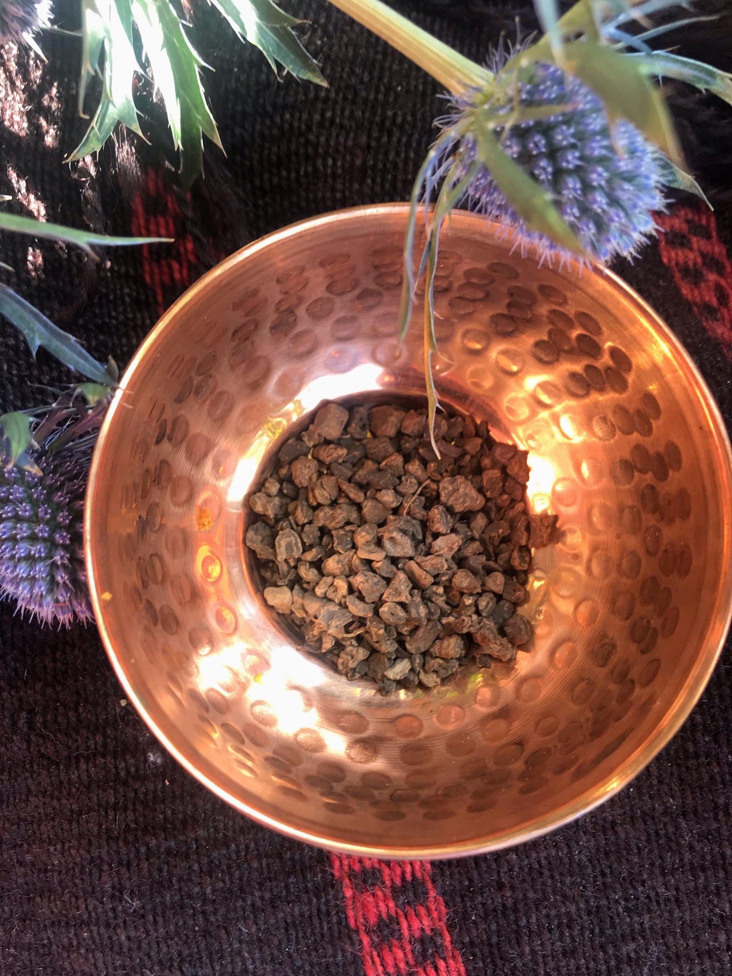 Valerian Root (Vaeriana officinalis) - Witching Roots