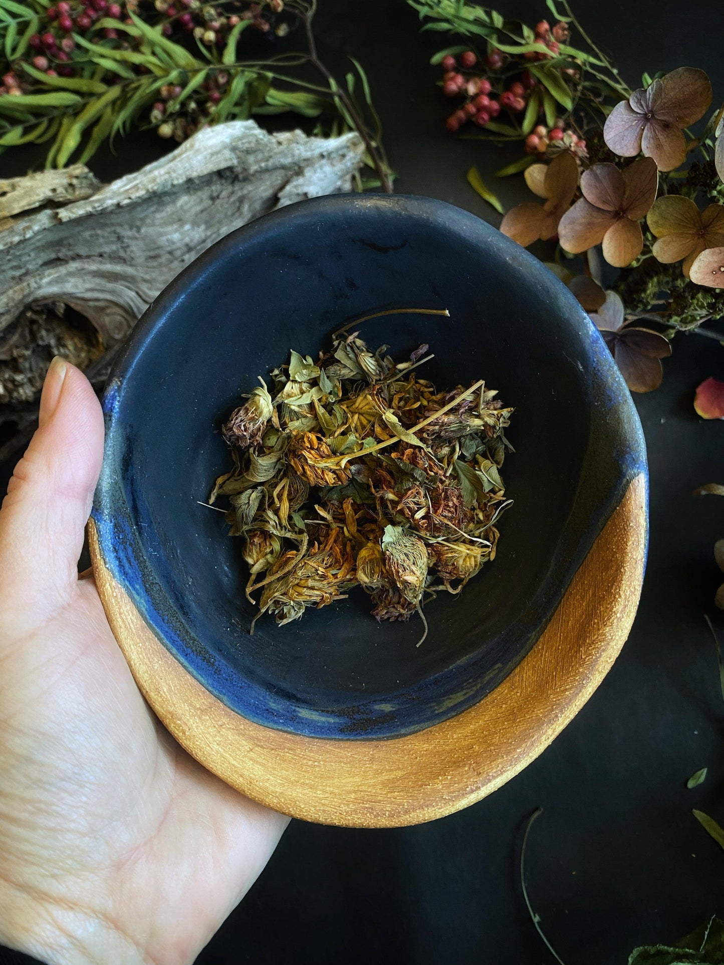 Red Clover Blossoms (Trifolium pratense) - Witching Flowers