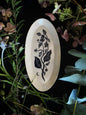 Black Sgraffito Belladonna Ceramic Offering Plates