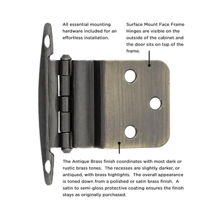 Surface Mount Hinge