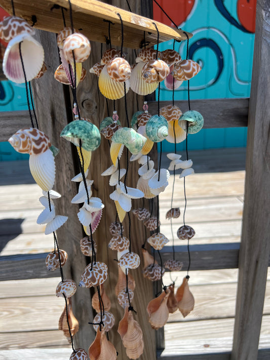 Bamboo Shell Windchime