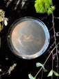 Abalone Luster Glazed (Circular) Plates - Dinnerware