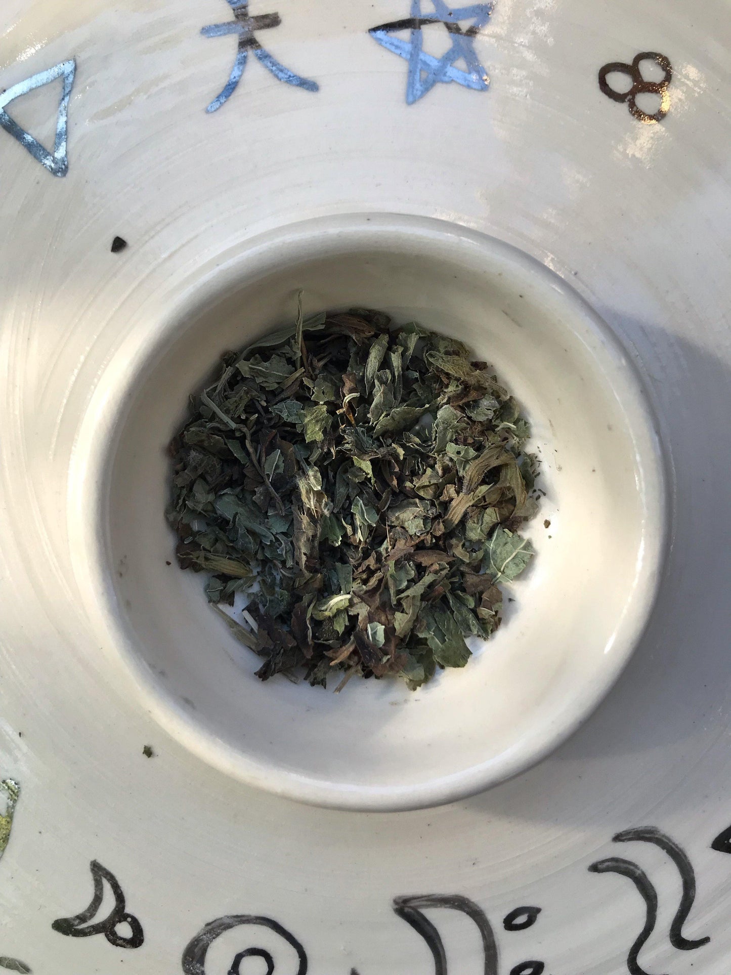 Lemon Balm (Melissa officinalis) - Witching Herbs