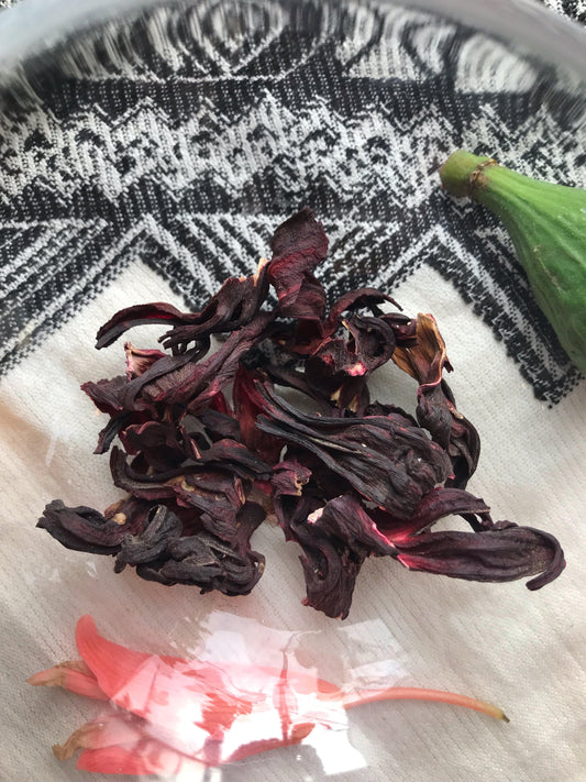 Hibiscus Flower (Hibiscus sabdariffa) - Witching Flowers