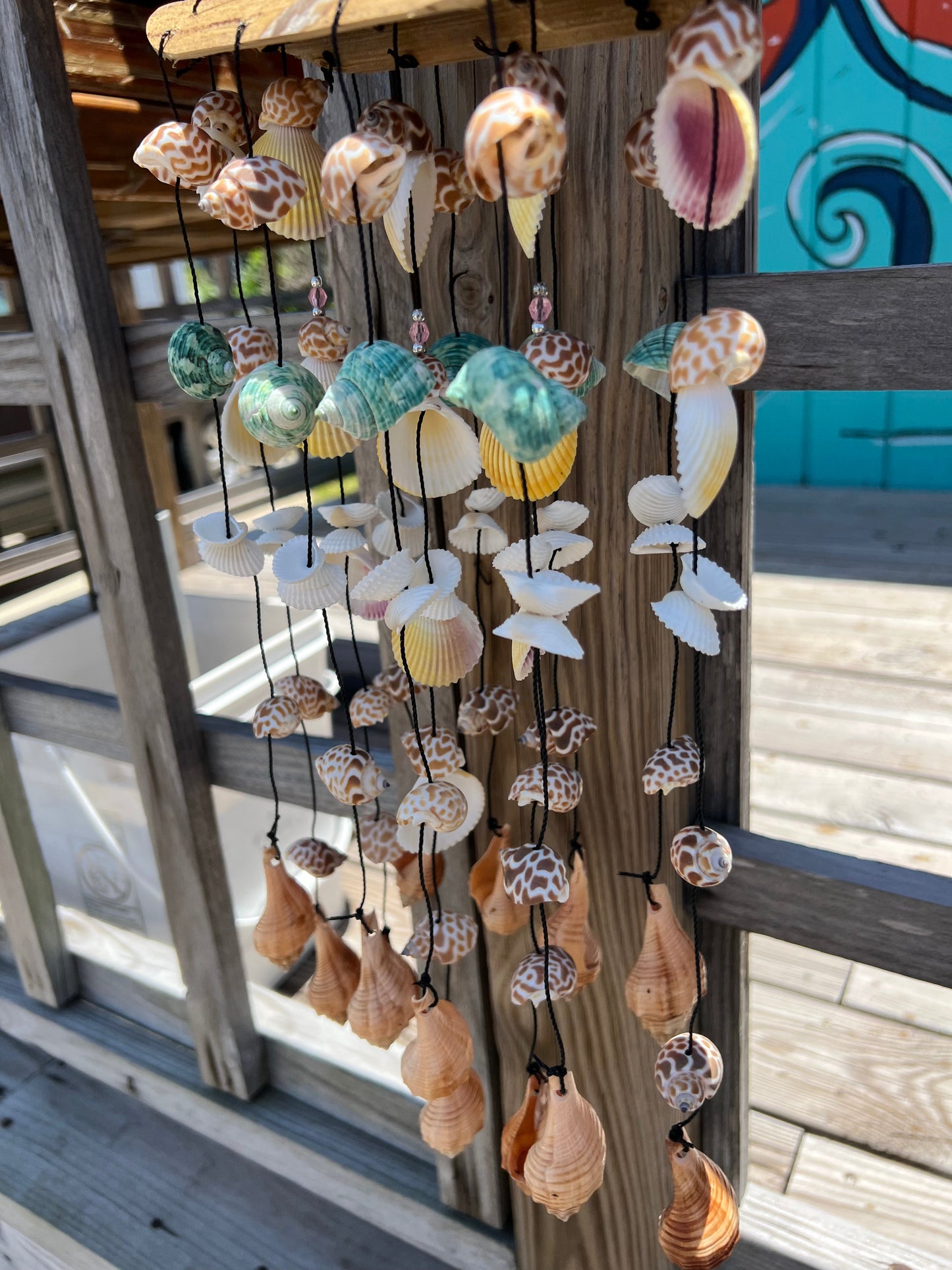 Bamboo Shell Windchime