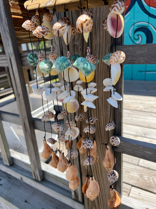Bamboo Shell Windchime