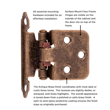 Surface Self-Closing Hinge