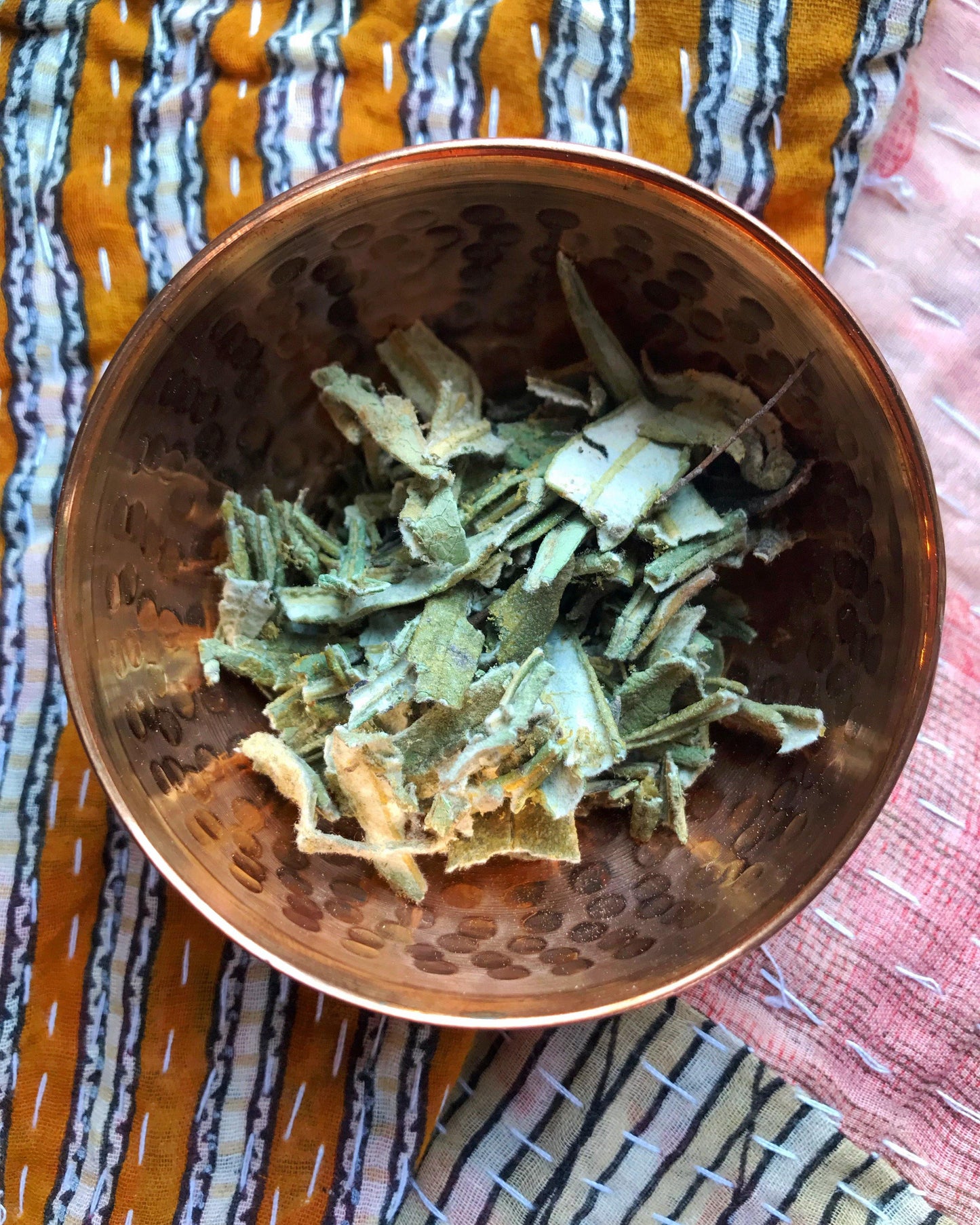 Yerba Santa (Eriodictyon californicum) - Witching Herbs