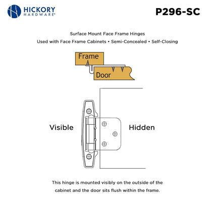Surface Self-Closing Hinge