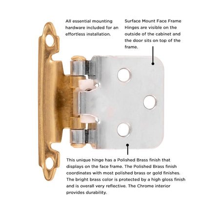 Surface Self-Closing Hinge