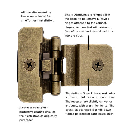 Double Demountable Hinge