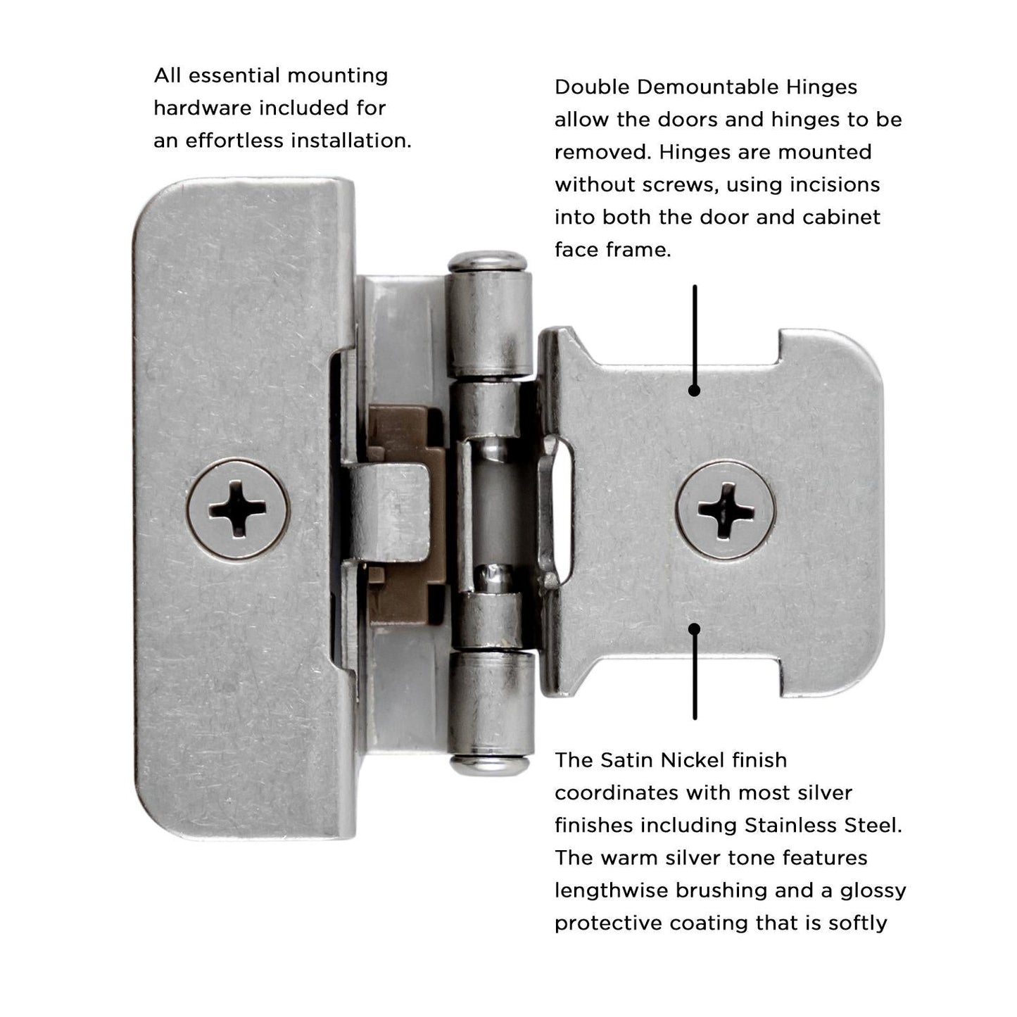 Double Demountable Hinge