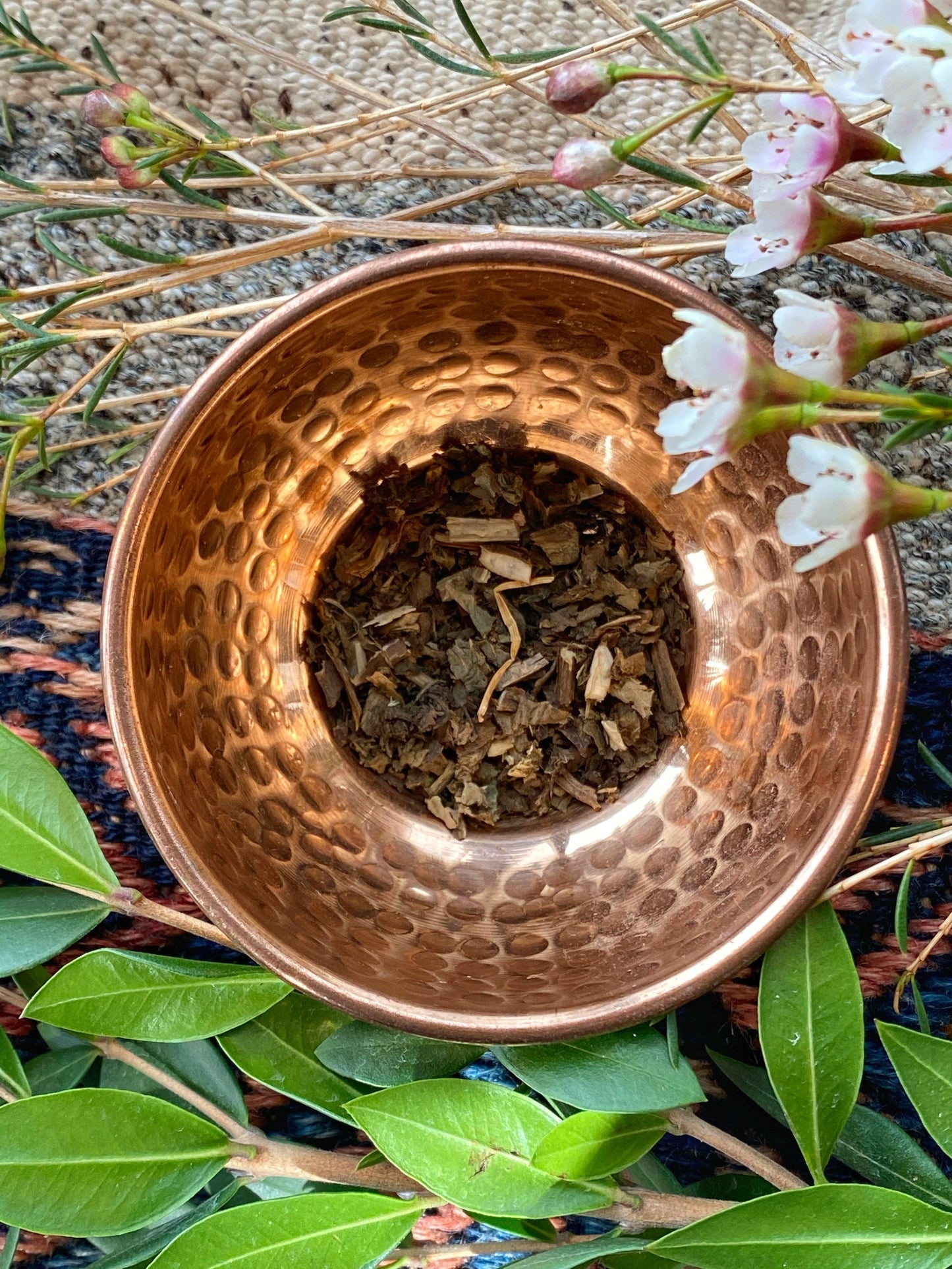 Holy Basil / Tulsi (Ocimum tenuiflprum) - Witching Herbs