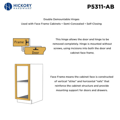 Double Demountable Hinge