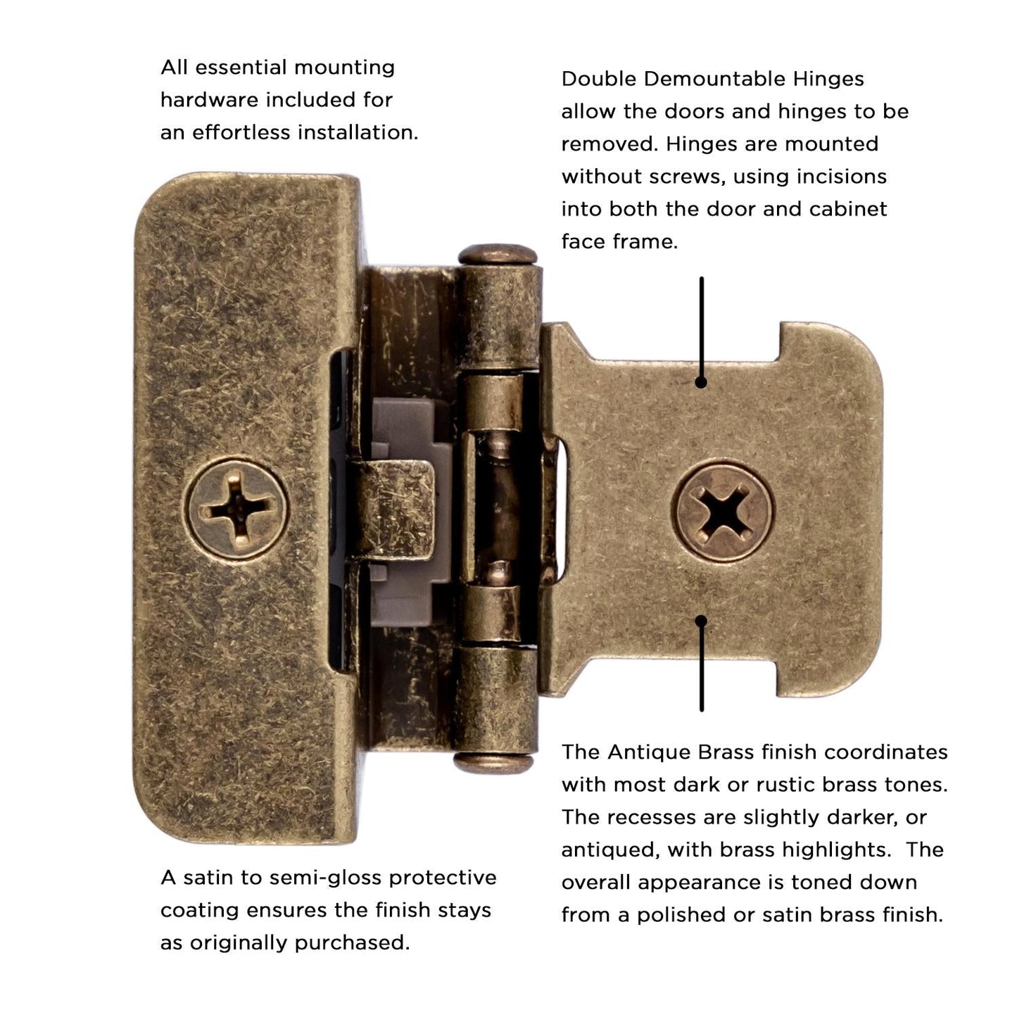 Double Demountable Hinge