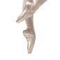 Iridescence Pointe Shoe