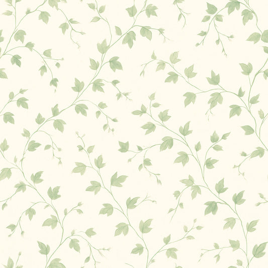 Ivy Dreams Wallpaper