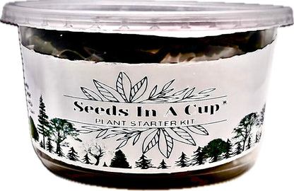 Jalapeño Plant Grow Kit  |  Seeds In A Cup® |