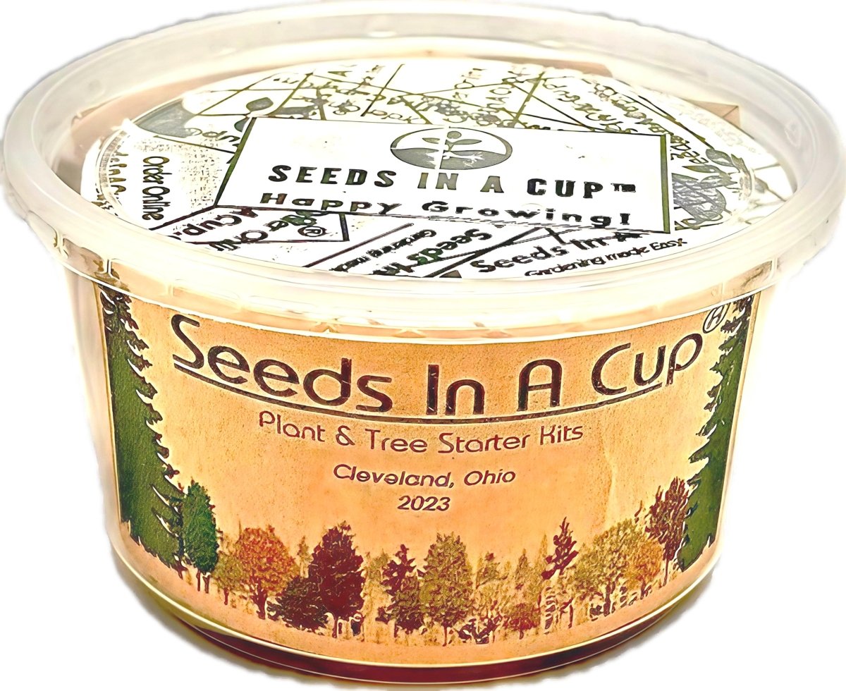 Garden in A Box by Seeds In A Cup® - Choose 5 Vegetable & Herb Kits