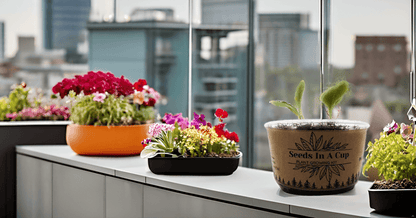 Seeds In A Cup® | Jalapeño Plant Grow from Seed Gardening Kit