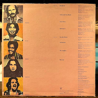 Heavy Weather (VINYL) | Excellent (EX) Near Mint (NM or M-)