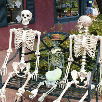 Realistic Skeleton Model