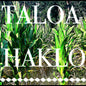 Taloa Haklo (CD)