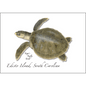 Kemps Ridley Sea Turtle Greeting Card – 5" x 7" with Envelope