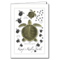 Kemp's Ridley Turtle Lifecycle Everyday Greeting Card – 5" x 7"