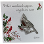 When Cardinals Appear Pin