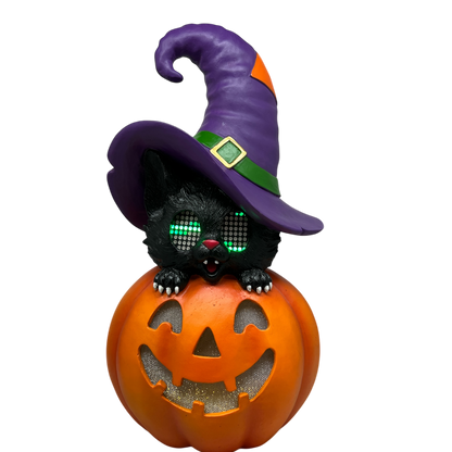 Cat On Pumpkin  With Moving Digital Eyes