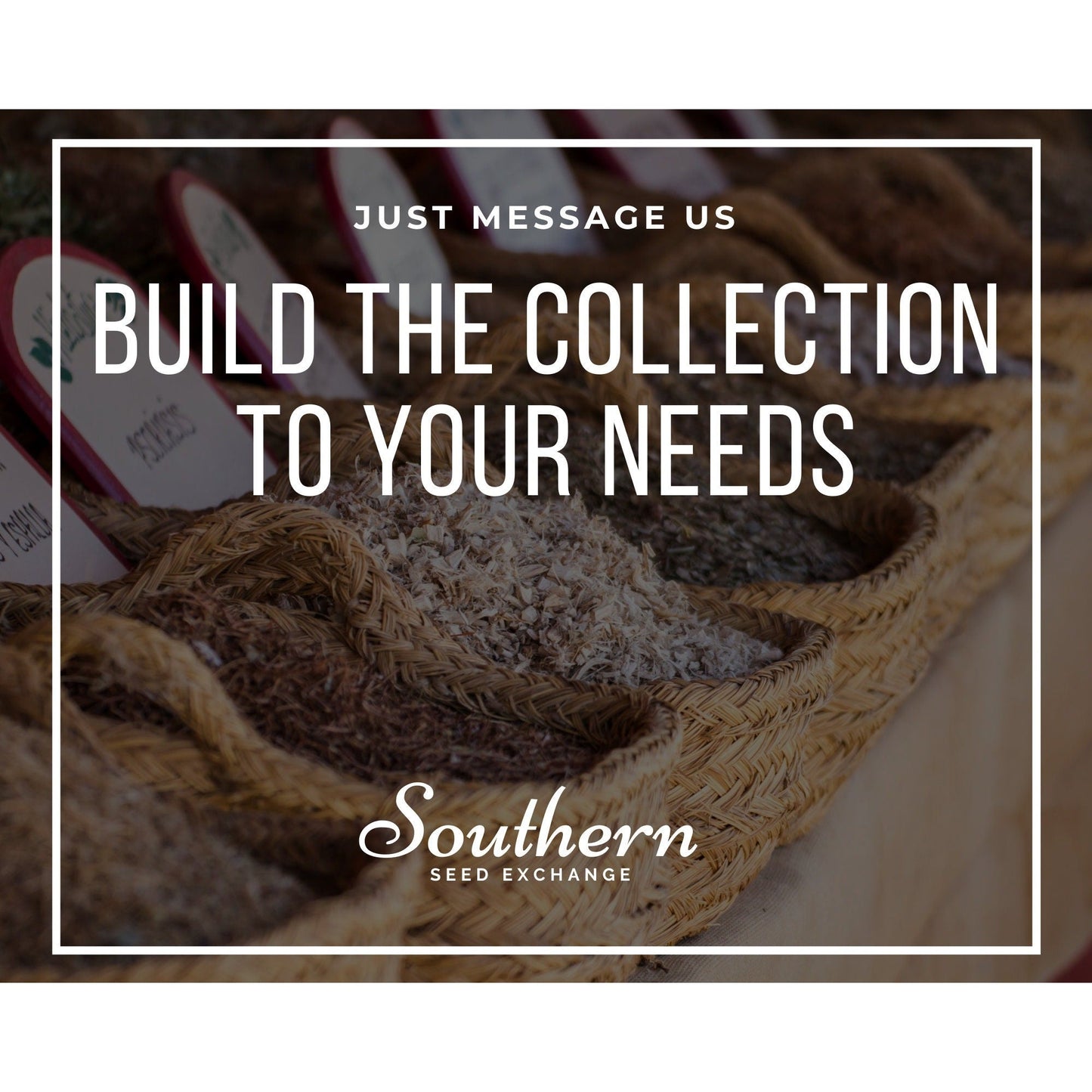 Leafy Greens Seed Collection – 6 Varieties