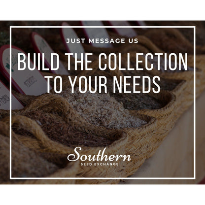 Leafy Greens Seed Collection – 6 Varieties