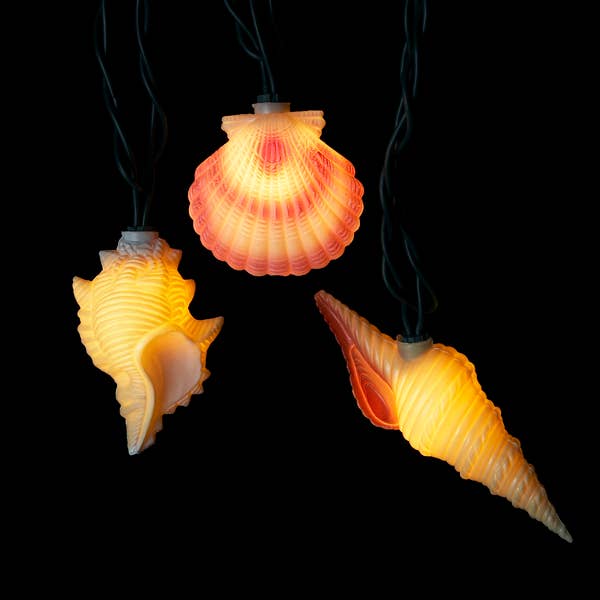 Light Conch & Shell String