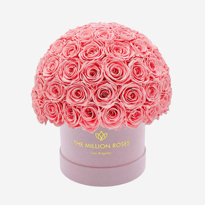 Classic Light Pink Suede Superdome Box | Light Pink Roses