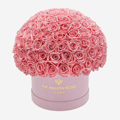 Supreme Light Pink Suede Superdome Box | Light Pink Roses
