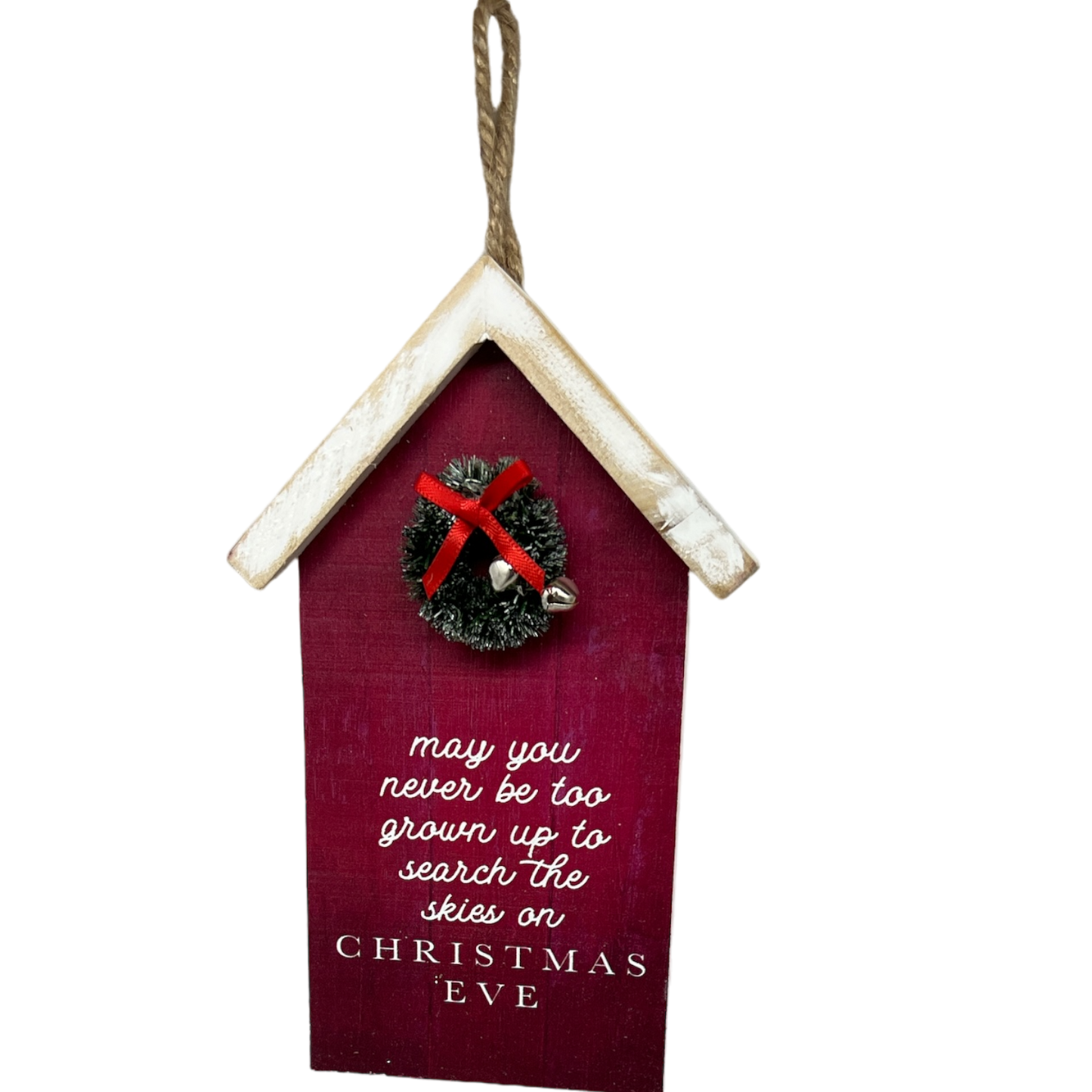 Search The Skies Wooden Ornament