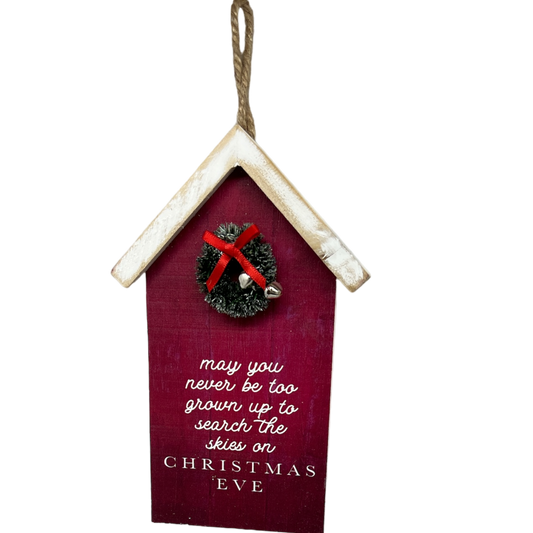 Search The Skies Wooden Ornament