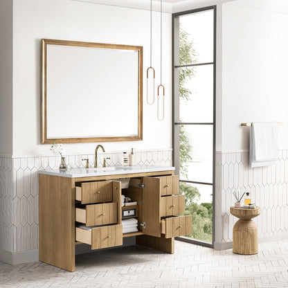 Hudson 48" Single Vanity Cabinet