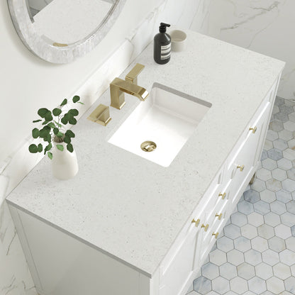 Chicago 48" Single Vanity Cabinet