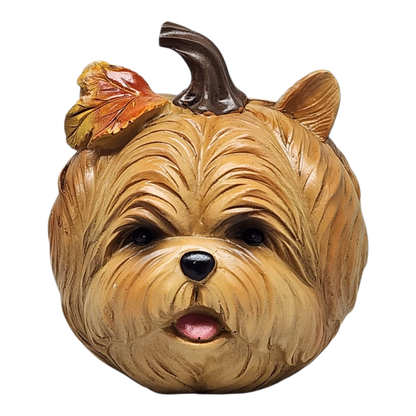 Autumn Pup Pumpkin - Yorkie Edition