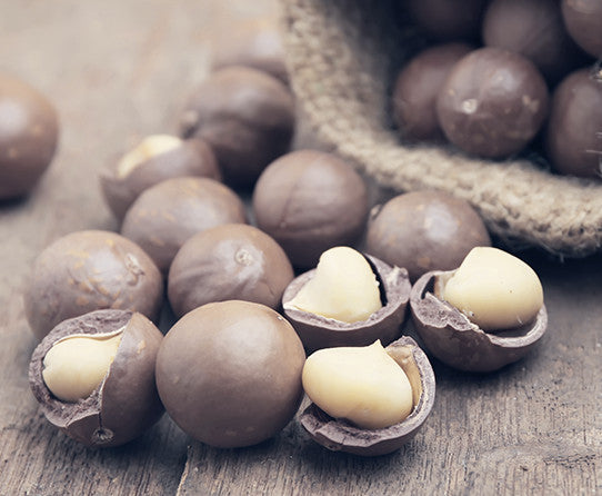 Macadamia Nut