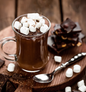 Marshmallow Chocolate Pudding