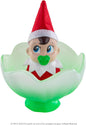 Frost Pips Mini Blooms - Green