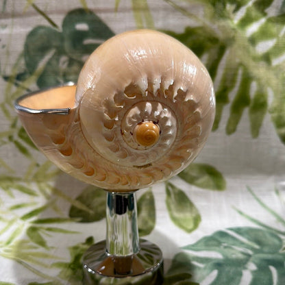 Melon Shell on Metal Stand