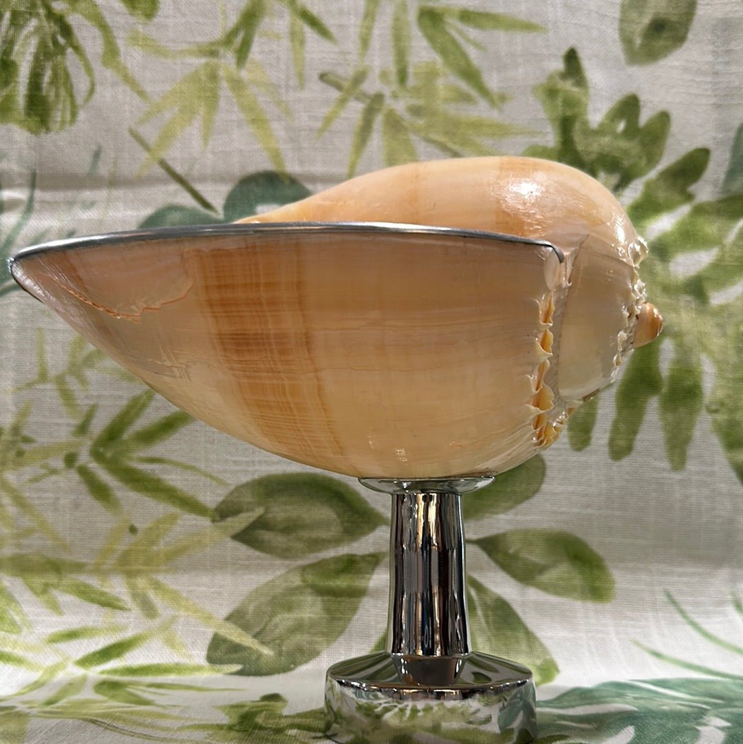 Melon Shell on Metal Stand