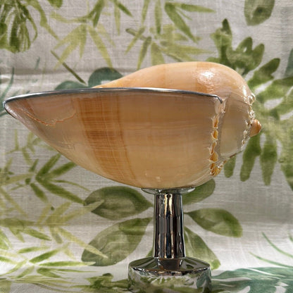Melon Shell on Metal Stand