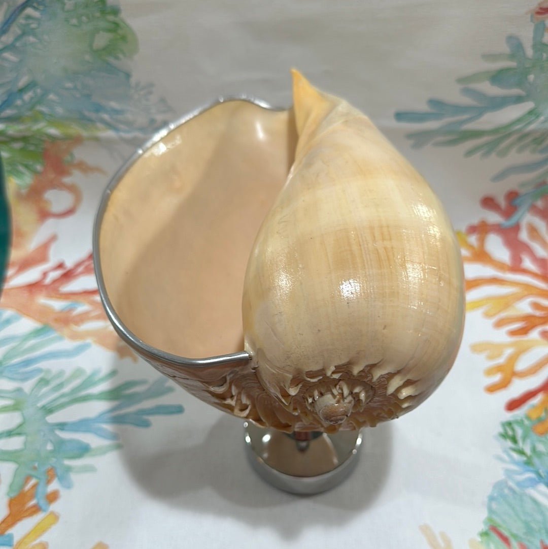 Melon Shell on Metal Stand
