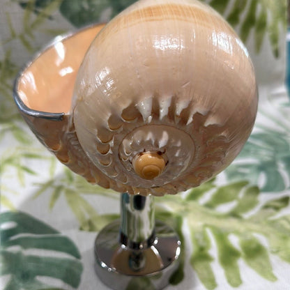 Melon Shell on Metal Stand