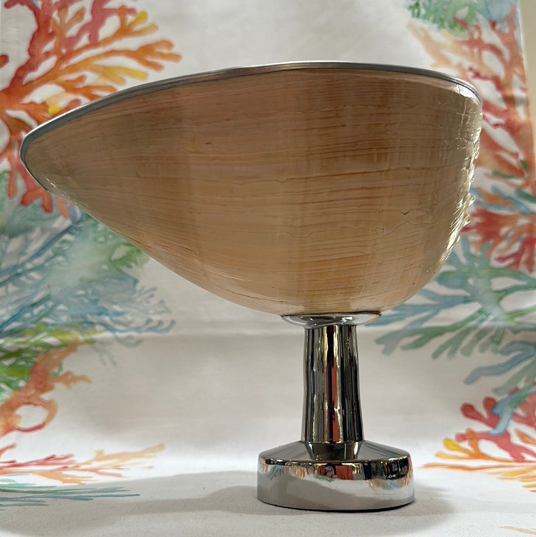 Melon Shell on Metal Stand